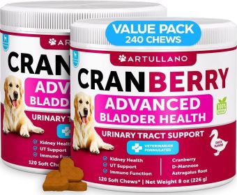 Dog UTI Treatment Cranberry Supplement and Bladder Control for Dogs UTI Chewable Treats (2 Pack) 240 Chews for Kidney Support Bladder Stones Urin