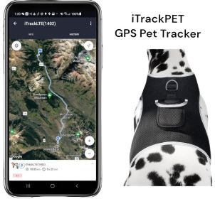 Dependable GSM GPS Tracking Device Waterproof Pet Surveillance System Size:S