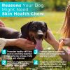 Skin Health Chew for Dogs Supports Coat and Skin
