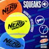 3-Pack 2.5" Squeaky Tennis Balls for Dogs â€“ Durable, Lightweight, Dishwasher Safe Fetch Toy