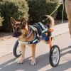 Dog Wheelchair for Back Legs, Lightweight 2 Wheels Pet Wheelchair, Height, Width & Length Adjustable, Dog Cart with Shock-Absorbing Wheels
