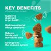 Probiotics for Dogs Gut Health Digestion Immunity Yeast Balance Itchy Skin Allergies Support Dog Probiotic Chews with Digestive Enzymes for Gut Flora