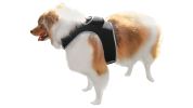 Locate Missing Pet w/ Waterproof Mini GSM GPRS GPS Pet Collar Tracker Size:L