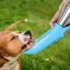 Portable Folding Pet Water Bottle for Outdoor Trip