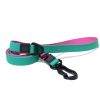 Waterproof TPU Dog Leash Set with Collar | Heavy Duty Honeycomb Texture Training Lead